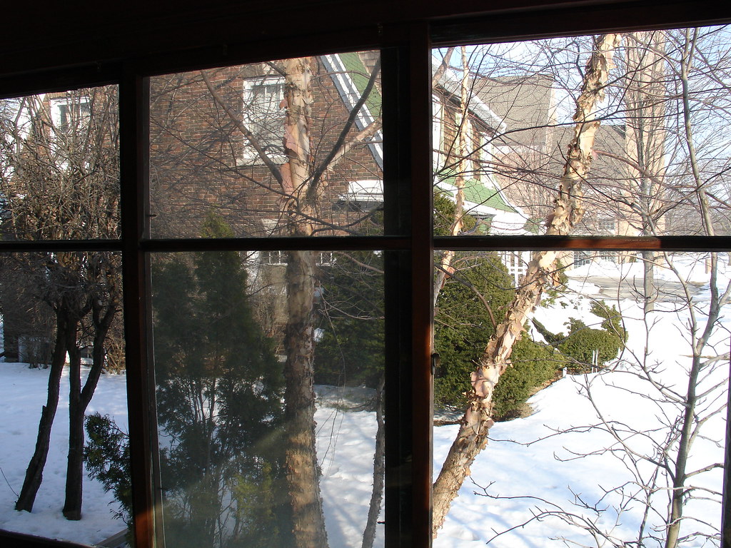 Front porch view of Loretta's house canvasback3 Flickr