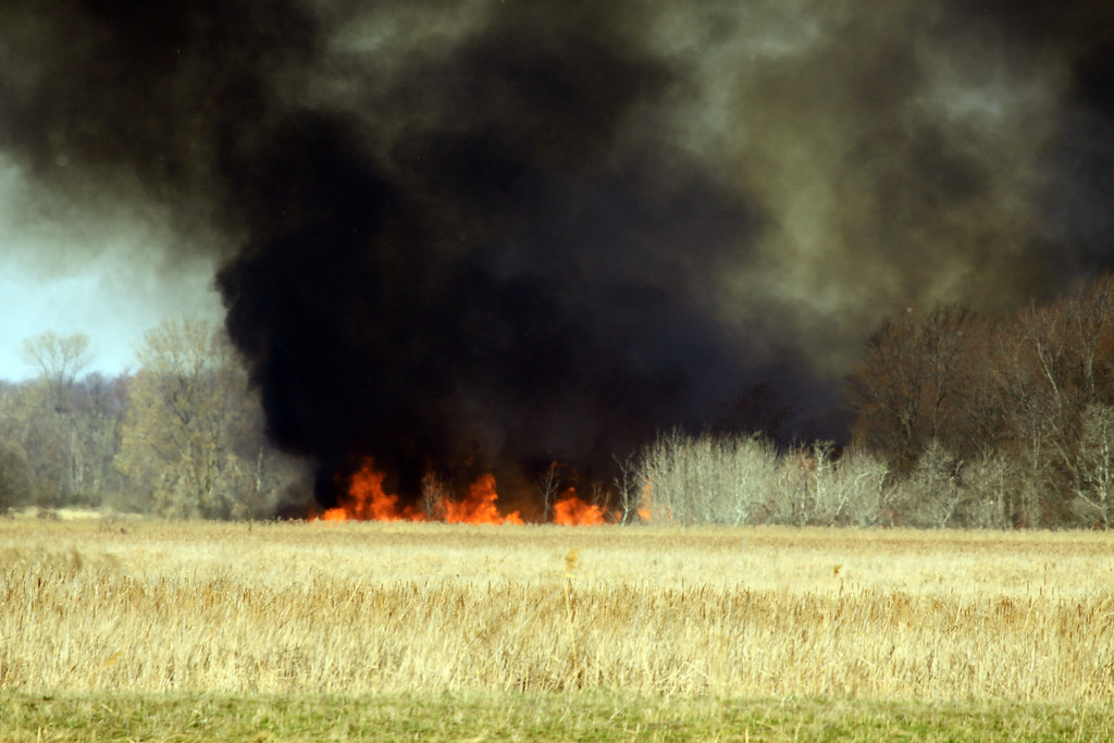 Fire at Montezuma NWR This was taken from the visitors cen… Flickr