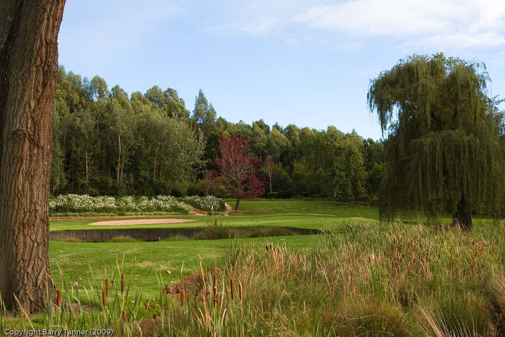 11th East Royal Johannesburg & Kensington GC Barry Flickr
