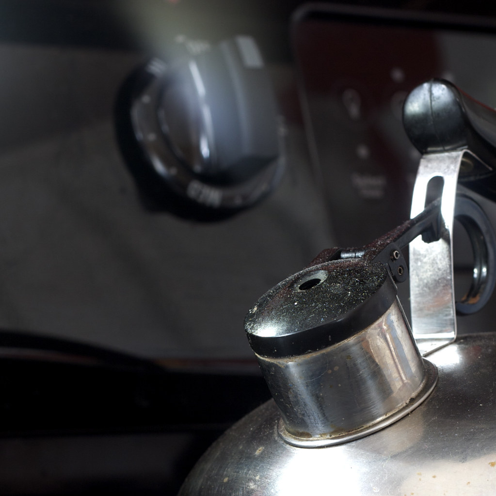 20100329 Tea Kettle Whistle The Daily Shoot ds134 Mak… Flickr