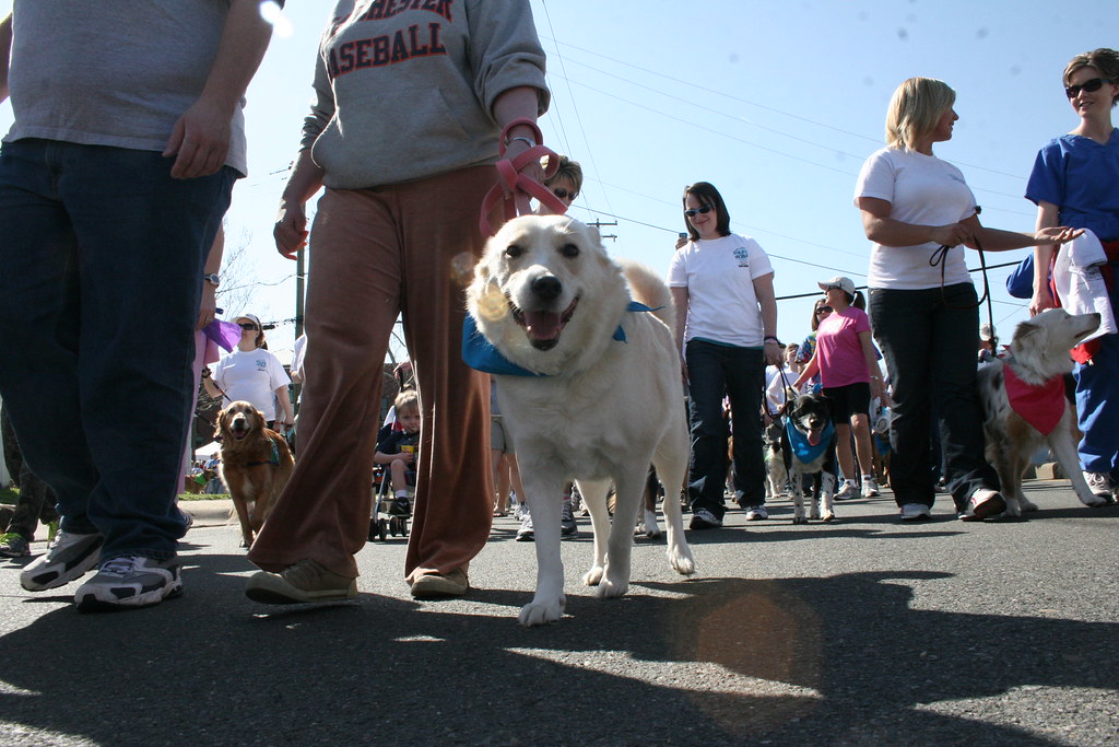 Richmond SPCA Dog Jog and 5K Run Saturday, March 20, 2010… Flickr