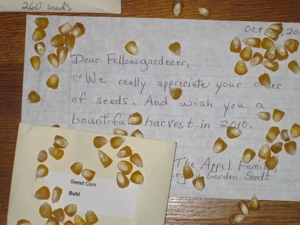 Buhl Sweet Corn happyskunk1 Flickr