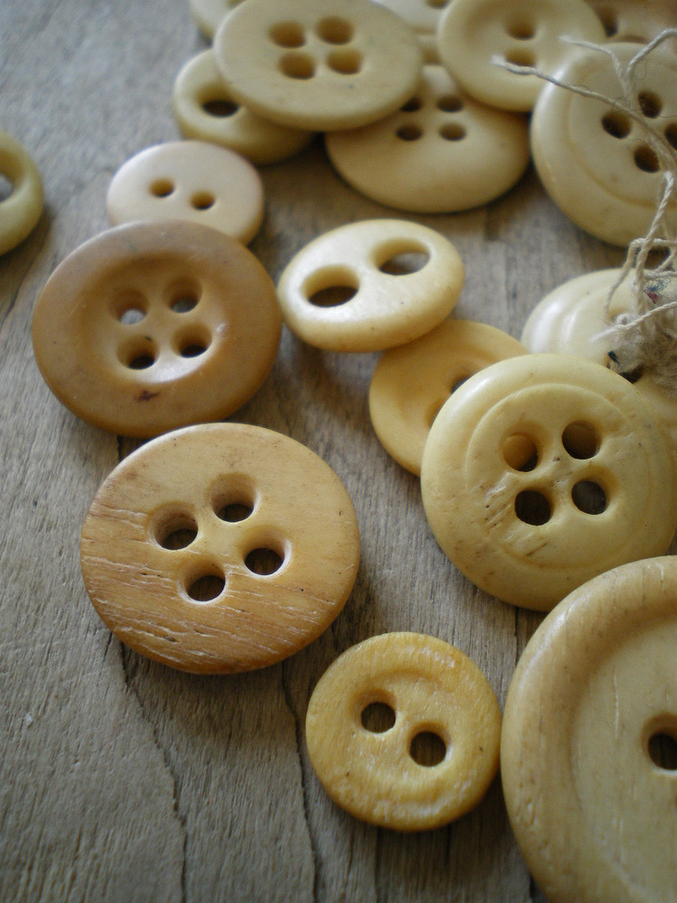 bone buttons Some old bone buttons from my collection. Blo… Flickr