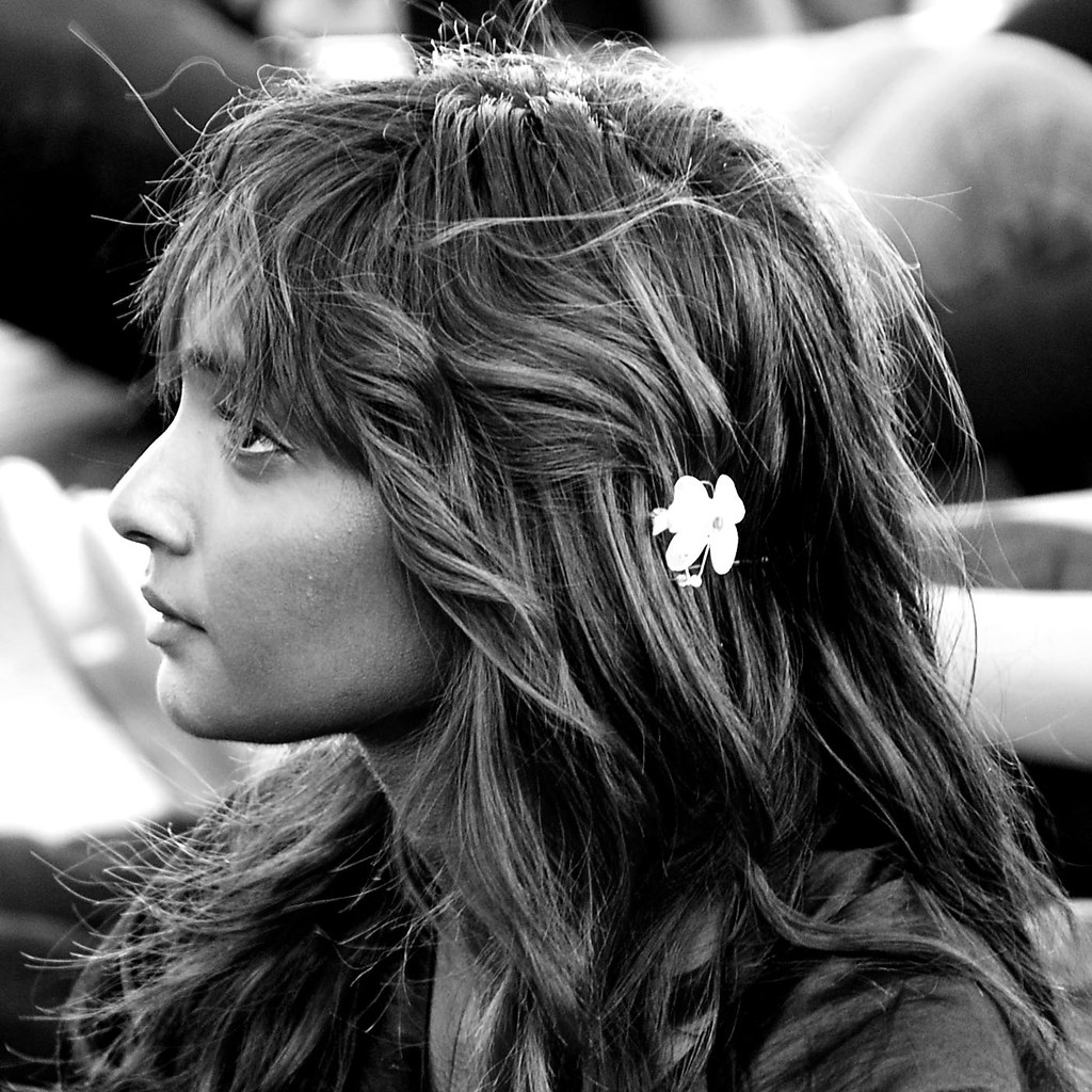 Flowers in her hair Flowers everywhere Cowsills Flickr