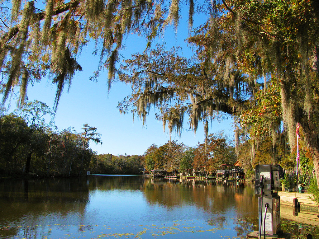 river life Amite River Julie Alicea Flickr