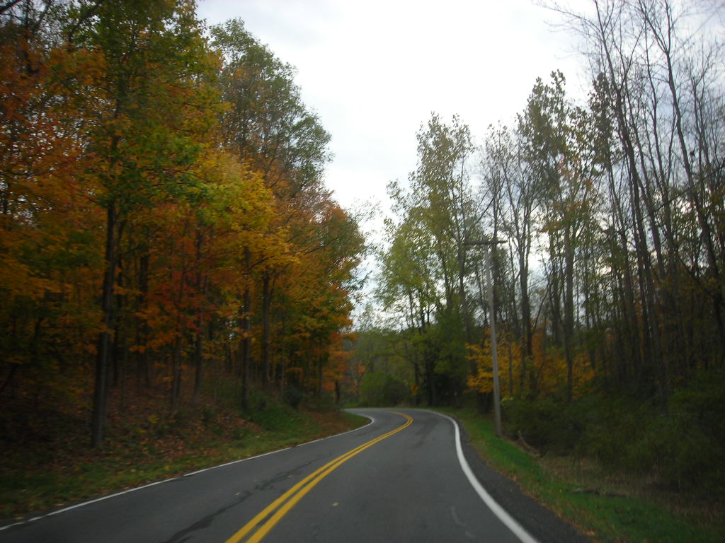 Town of Guilderland, New York Town of Guilderland, New Yor… Flickr