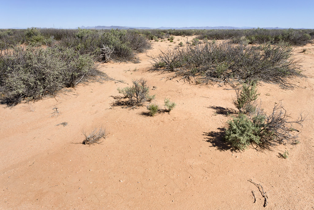 Lordsburg Mesa Lordsburg Mesa, north of Ninemile Hill, 32.… Flickr