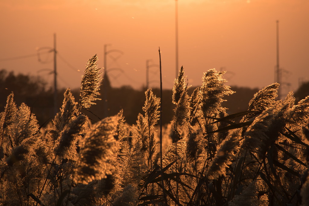 Elevation of Oak Valley, Deptford Township, NJ, USA Topographic Map
