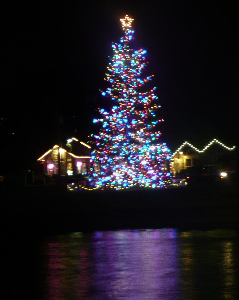 Gig Harbor Christmas Tree GigHarborRevealed Flickr