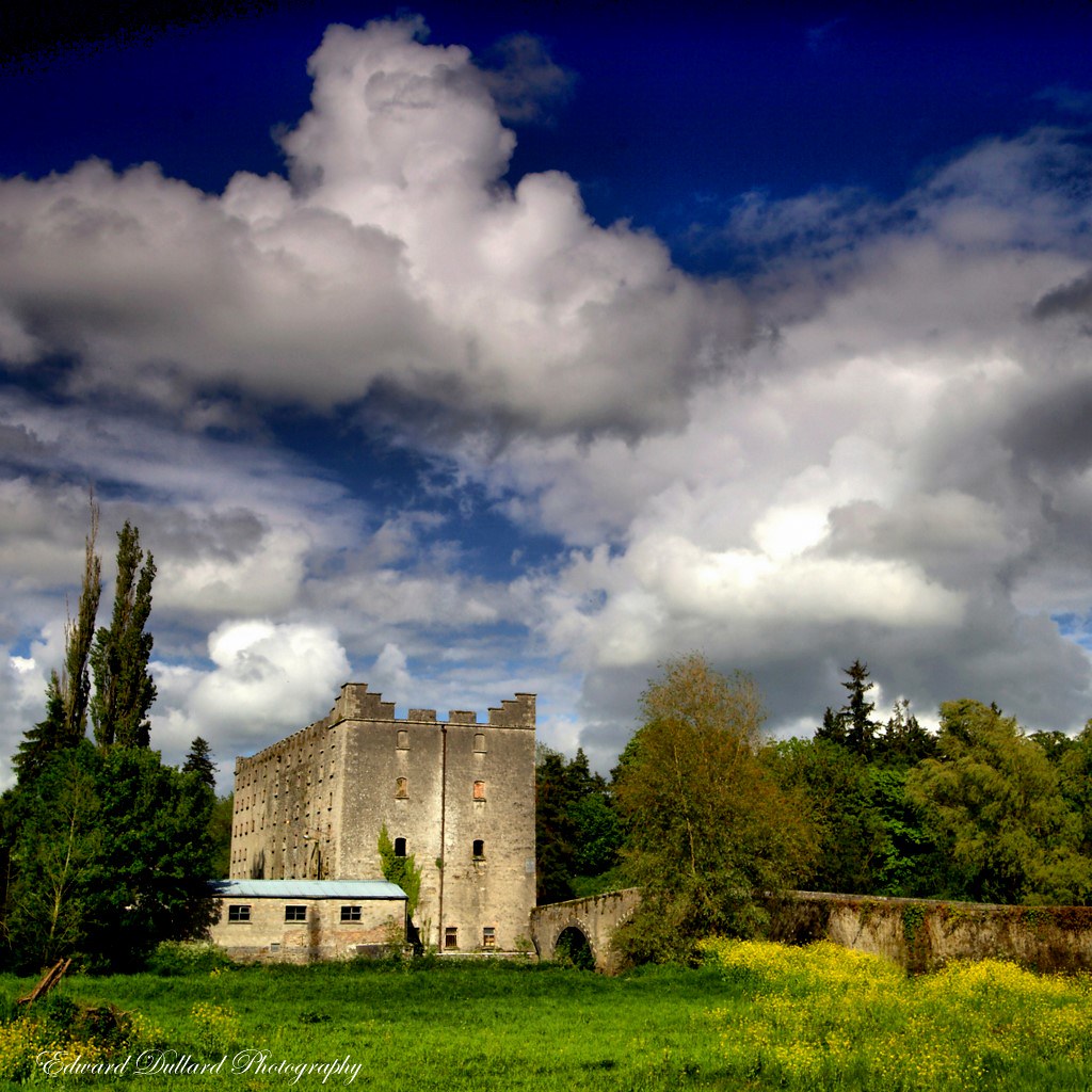 MILFORD MILLS. COUNTY CARLOW, IRELAND. Edward Dullard Photography