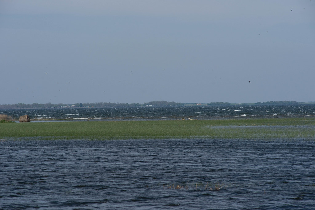 Minnewaukan, North Dakota From Flickr
