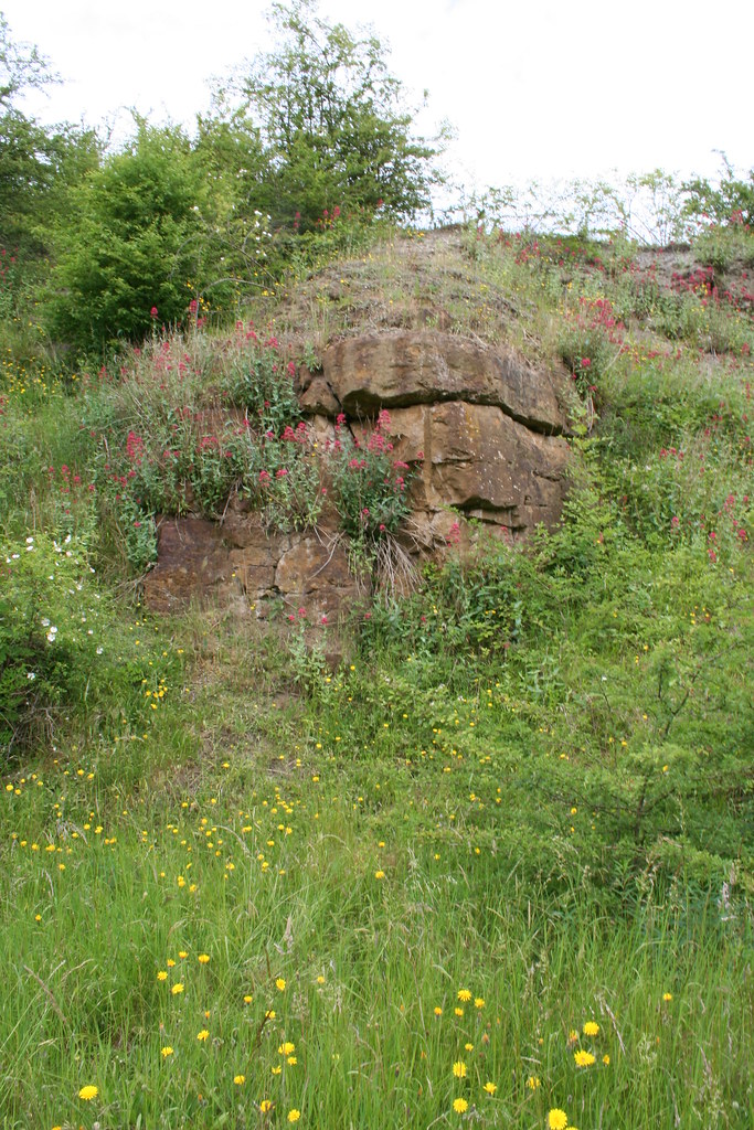 Brown's Hill Quarry Leicestershire & Rutland Wildlife Trust Flickr