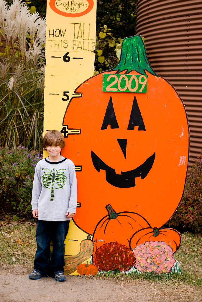 How tall this fall? Best pumpkin patch ever. www.the200acr… Christy