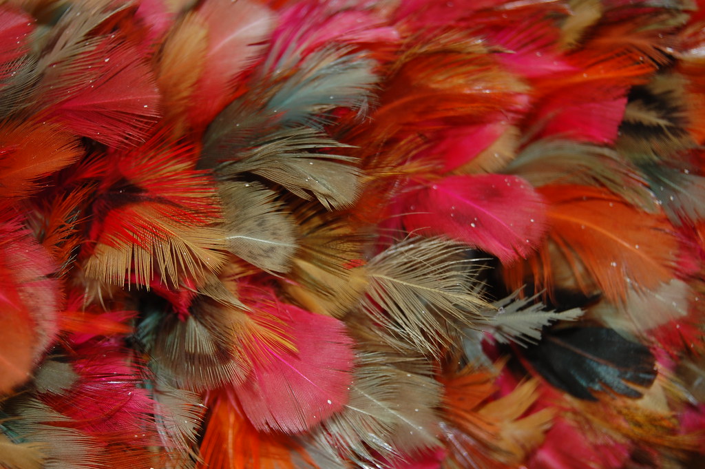 Flouncing feathers My old feather duster, much prefer taki… Flickr