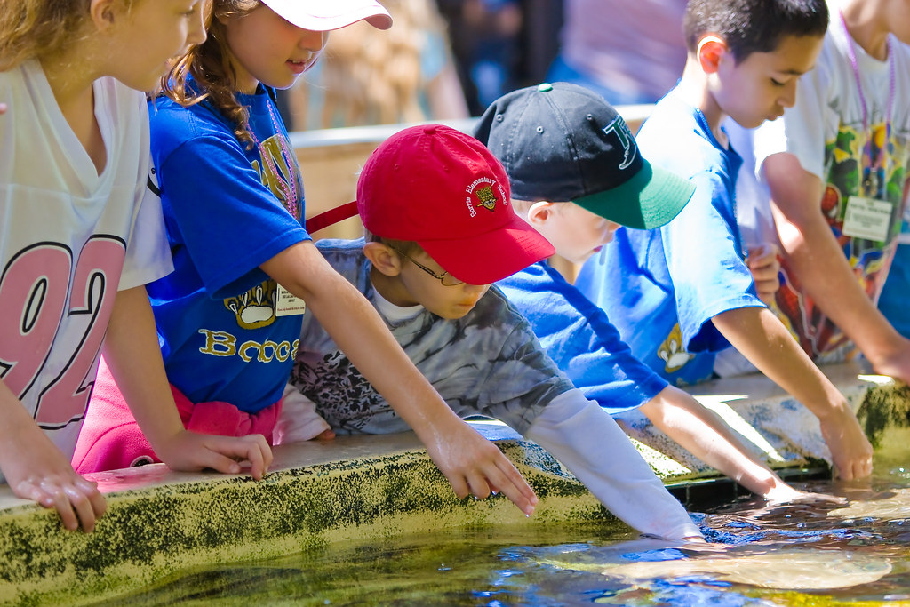 Lowry Park Zoo Field Trip58 Franc Urso Flickr