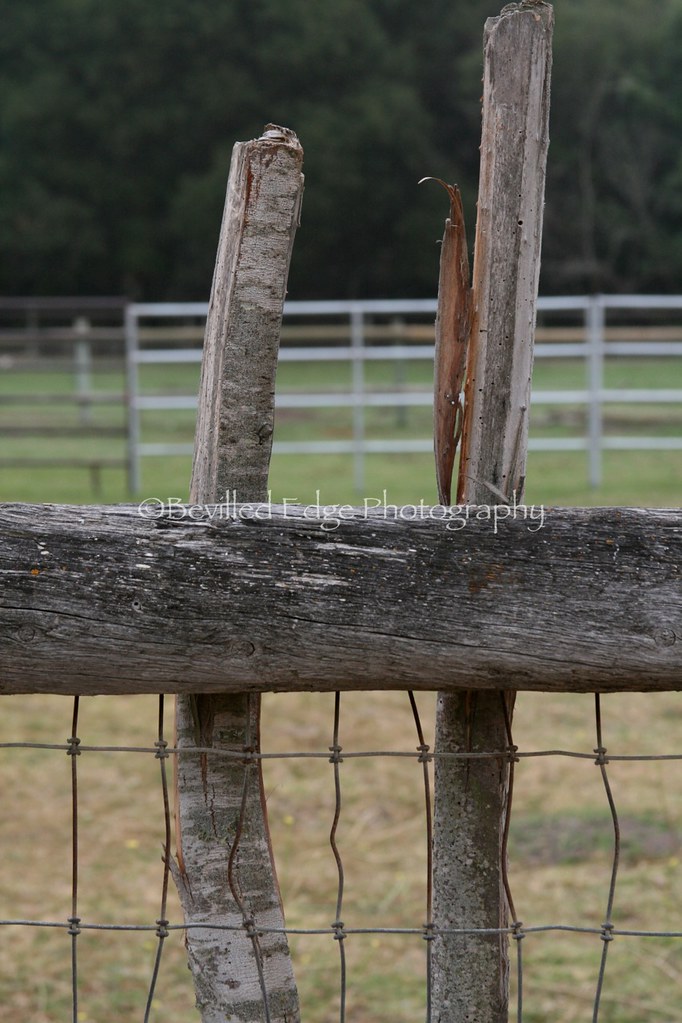 Alphabet Photo Art letter "H" sample of alphabet photos … Flickr