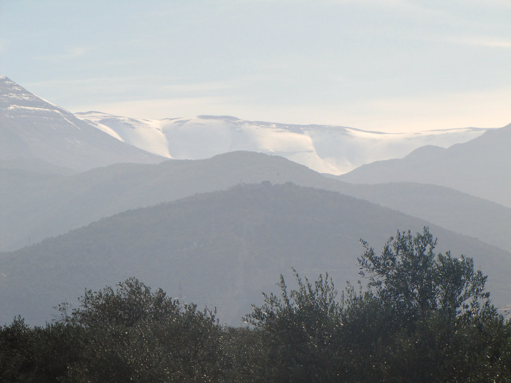 Spring 2010 ElKoura NorthLebanon Joseph Flickr