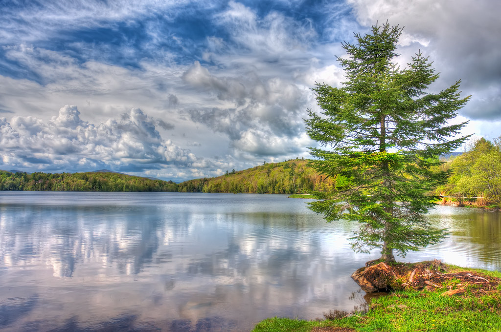 Kent Lake Clouds Tree and reflected clouds at Kent Lake Matthew