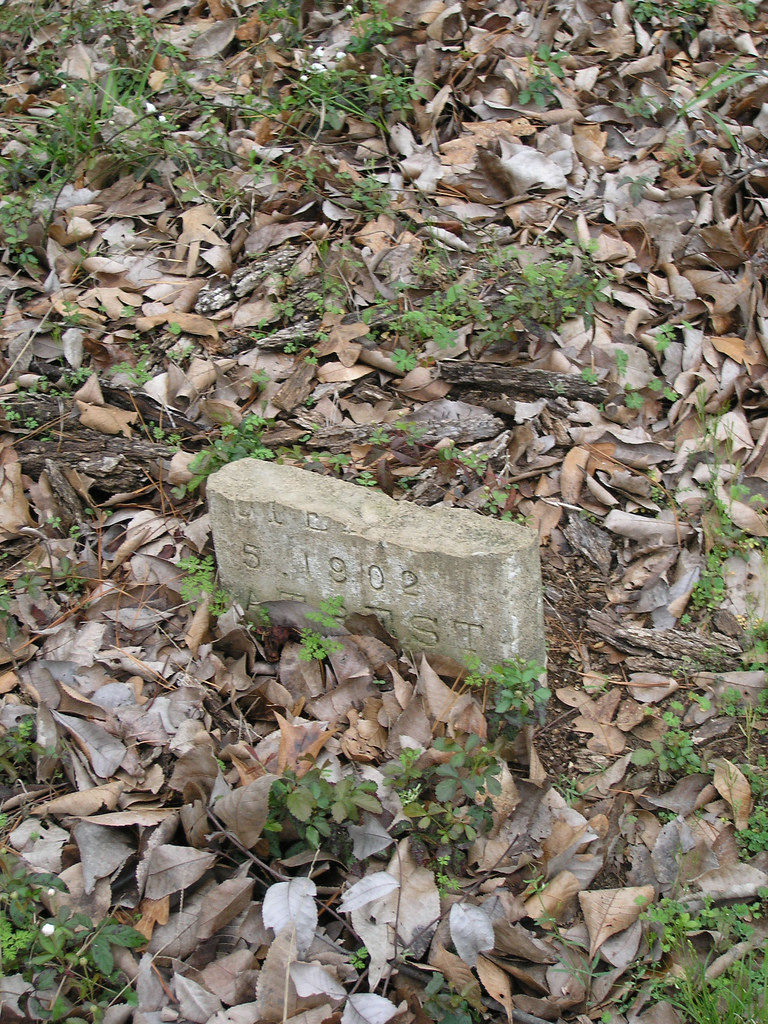 P1010135 1902 Watson Cemetery (31509) Equina27 Flickr