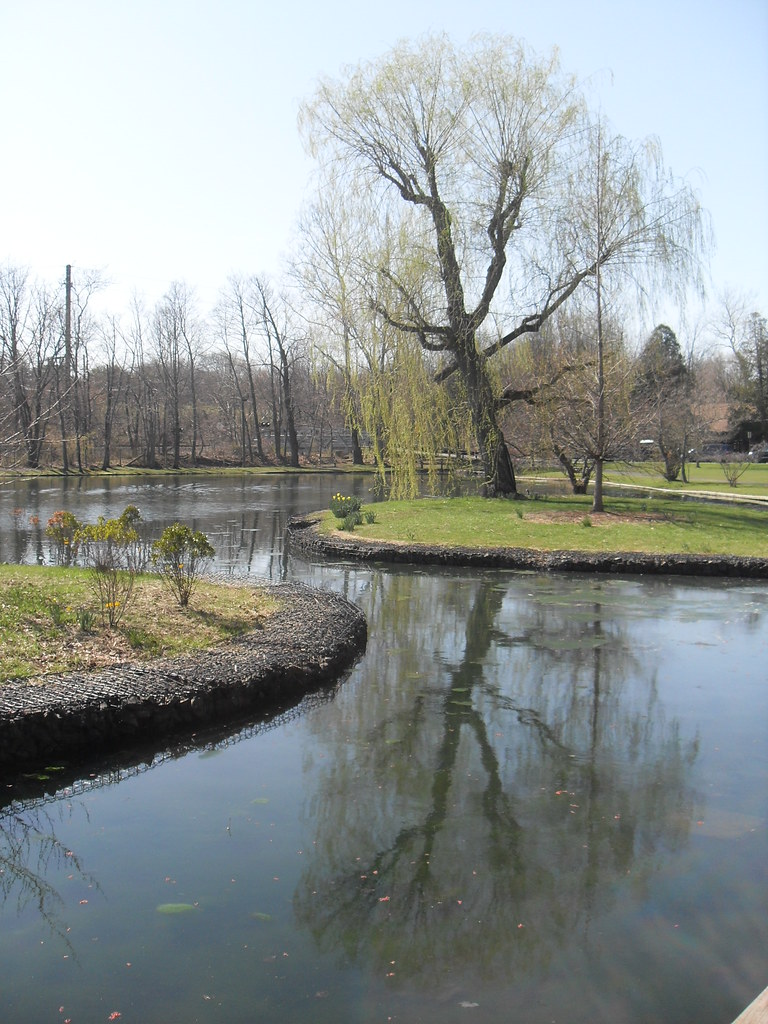 Liberty Park Peapack Gladstone New Jersey Willow Tree Is… Flickr