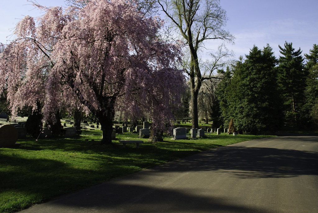 Lexington Cemetery 4210 Photos taken at the Lexington Ce… Flickr