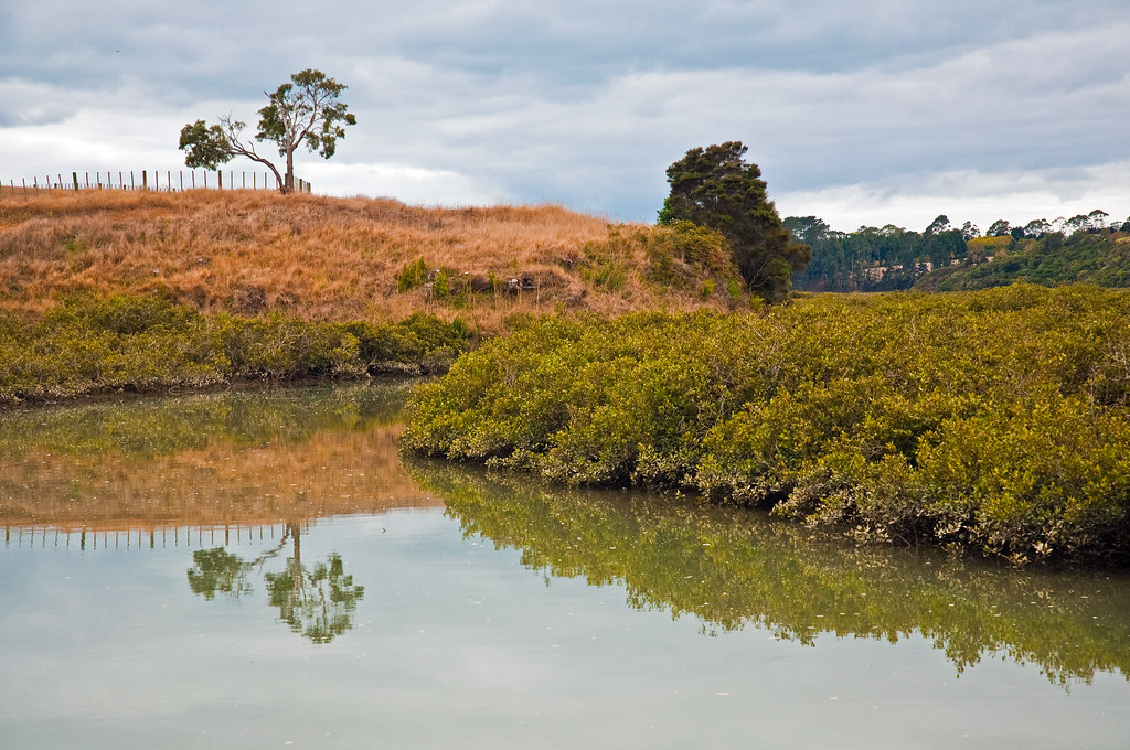 Whitford Creek, Auckland, New Zealand, 2 April 2010 Flickr