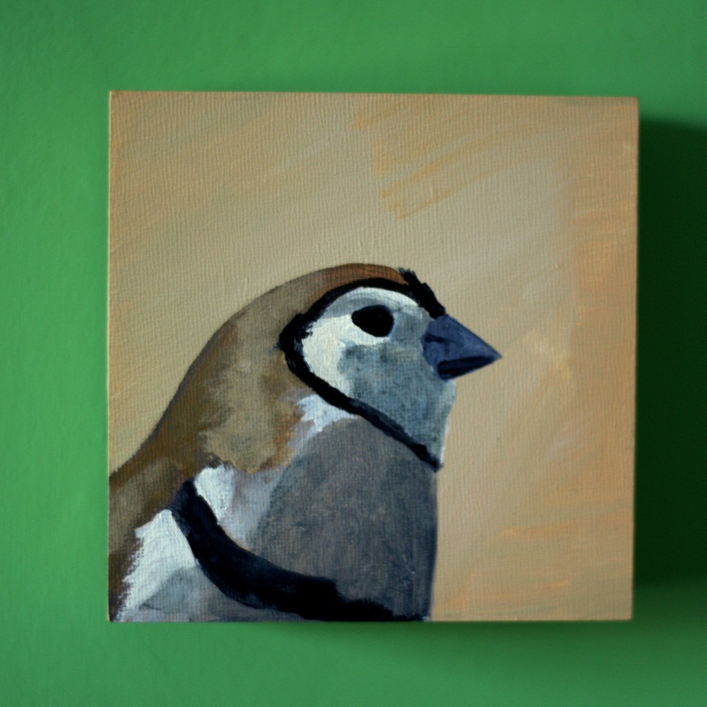 Bird My favourite Christmas present. Emma Royle Flickr