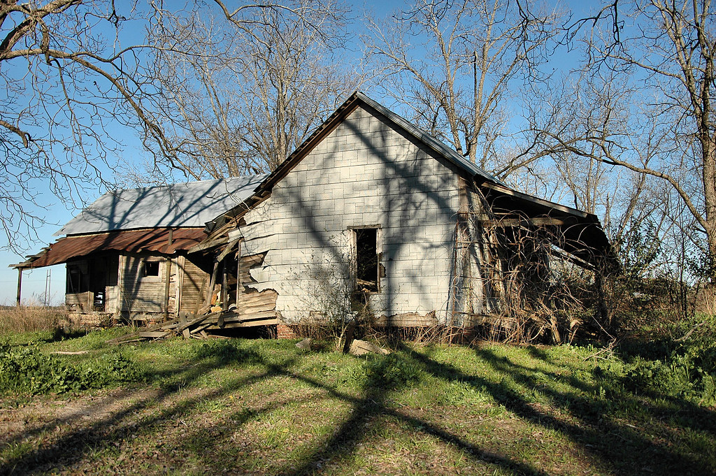 Bluebird Road Irwin County GA (Best Viewed Large) Brian Brown
