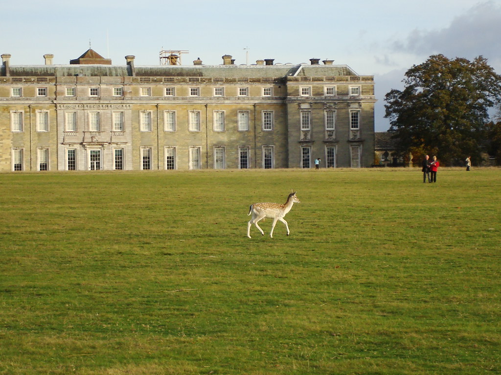 Petworth House Petworth House in West Sussex. October 2009
