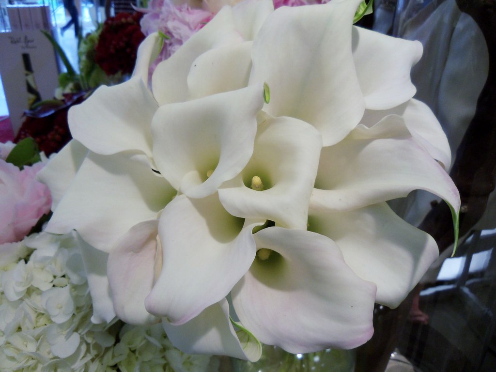 Bridal Flowers by Woodland Warner Flowers Woodland Hills, … Flickr