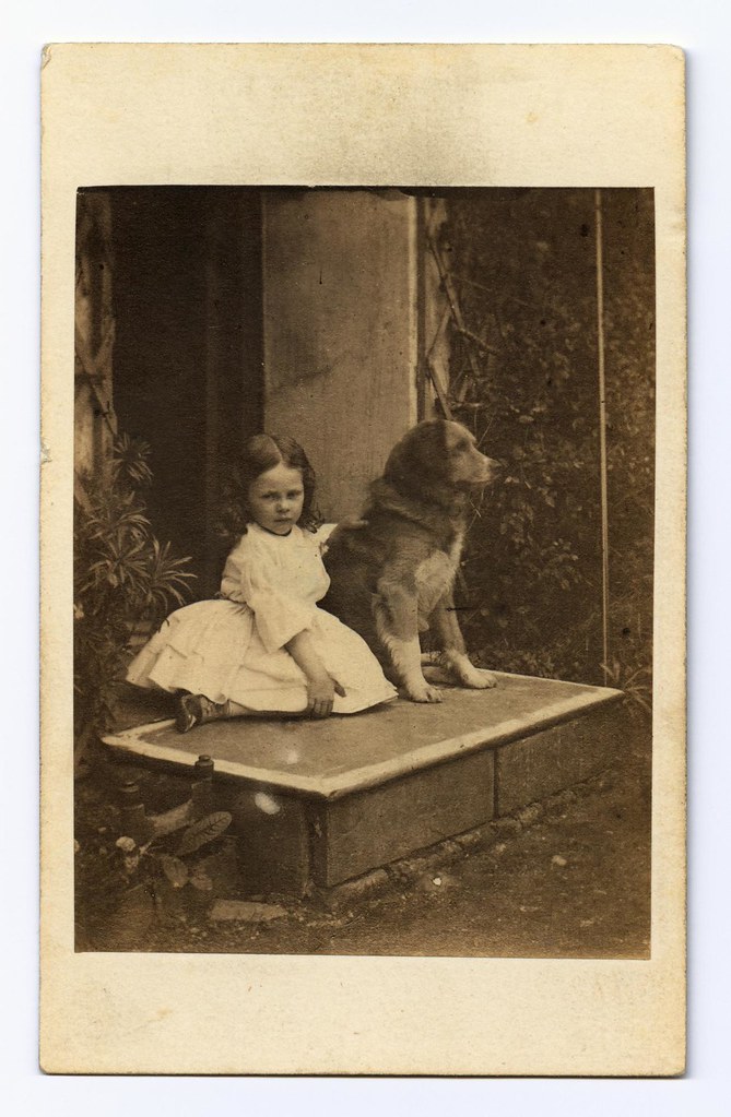 Photography A Victorian Sensation Victorian pets Flickr