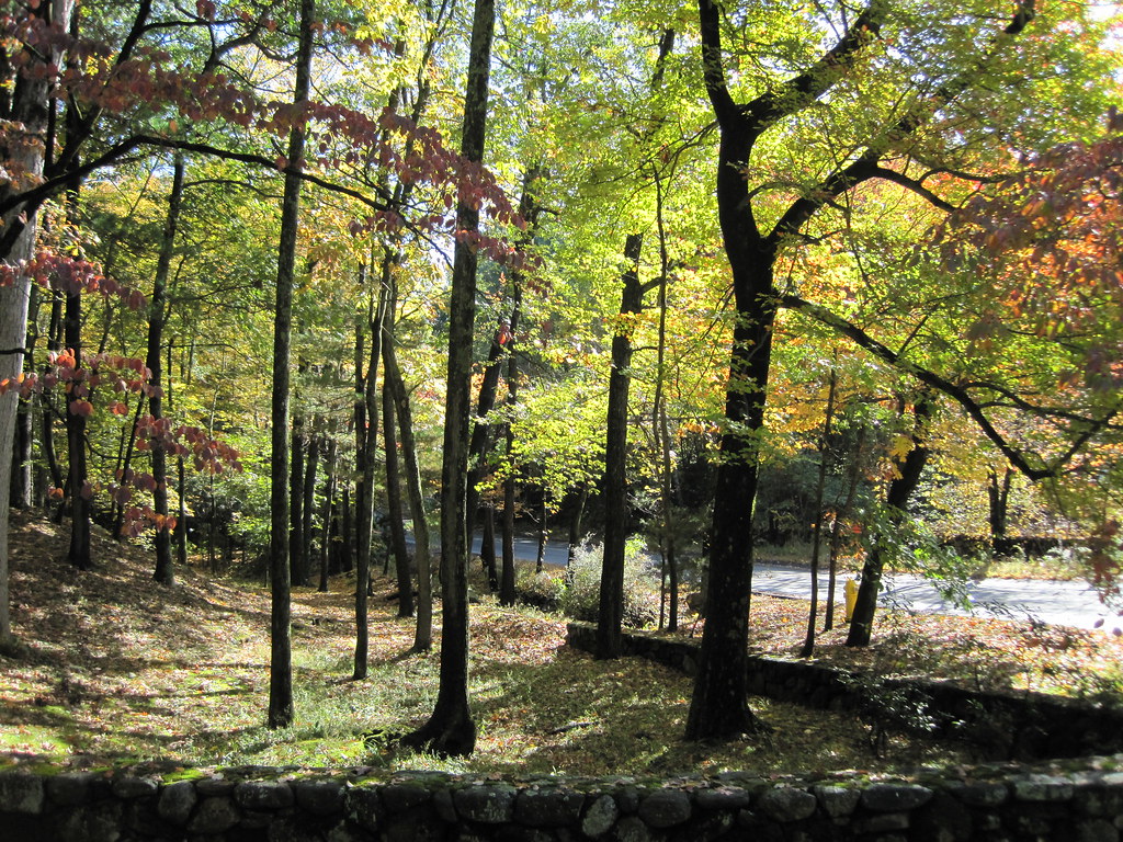 88 Cliff Road, Wellesley jjoung510] Flickr