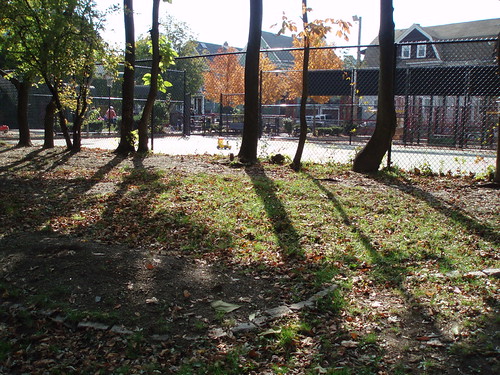 Somerville, MA Contaminated Soil Along Bike Path Flickr