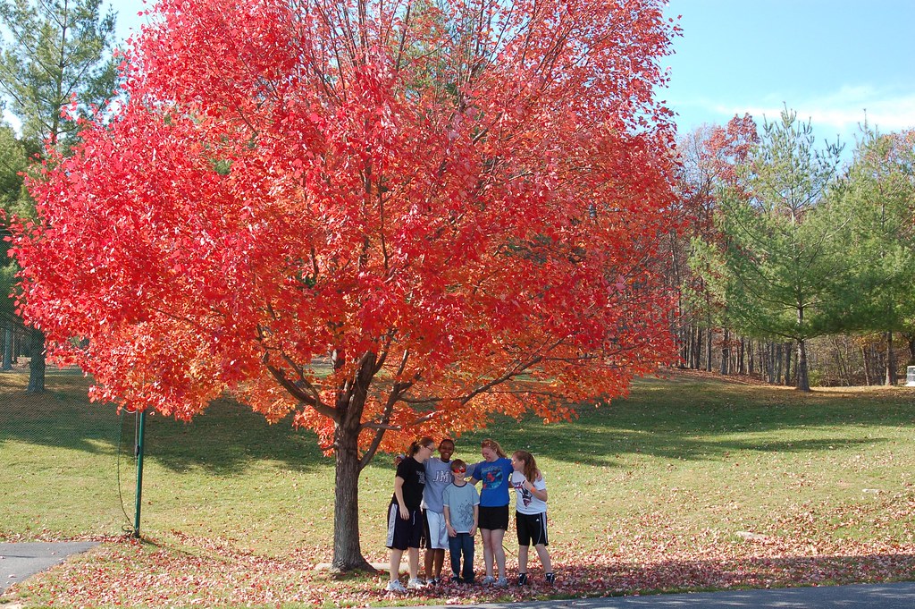 Massanutten Nov 2009 Flickr