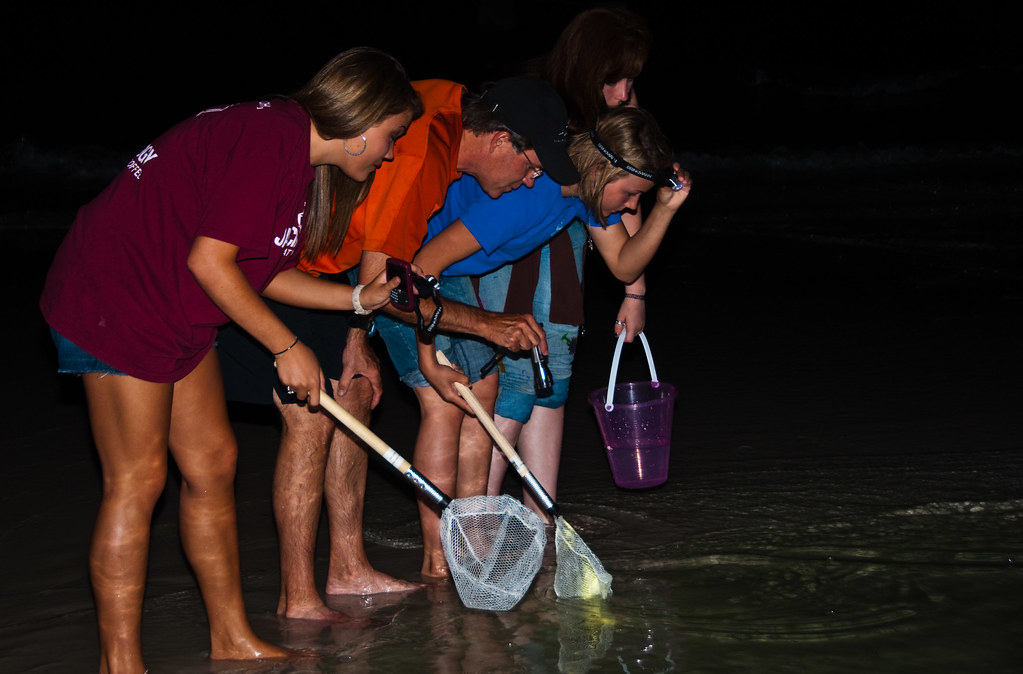 night crabbing Every time we go the the beach our kids lov… Flickr