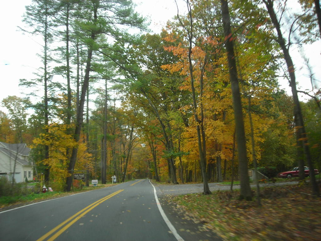 Town of Guilderland, New York Town of Guilderland, New Yor… Flickr
