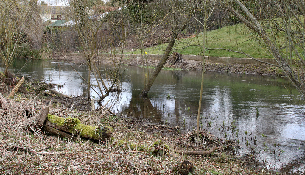 Springtime in Wimborne The River Allen below Allenbourne R… Flickr
