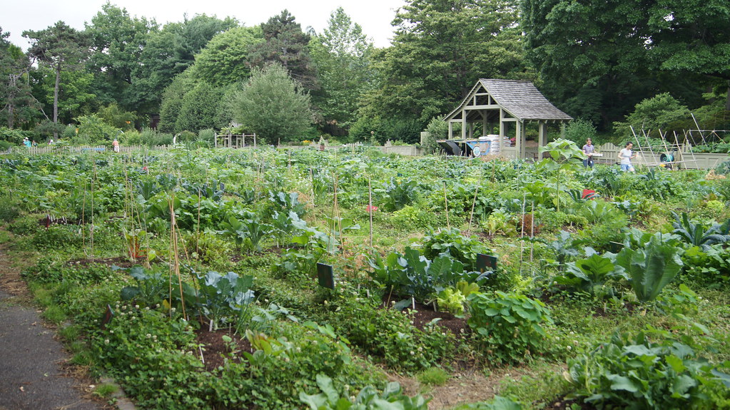 Children’s Garden Brooklyn Botanic Garden