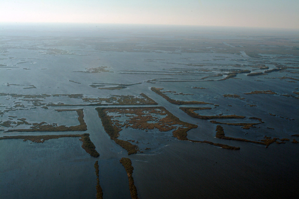 Barataria Estuary Area 1217032 Team New Orleans, US Army Corps of