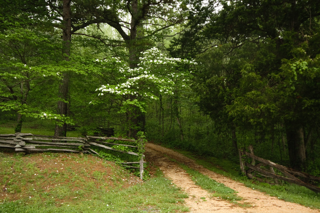 Boxley Valley AR Nature Gal Flickr