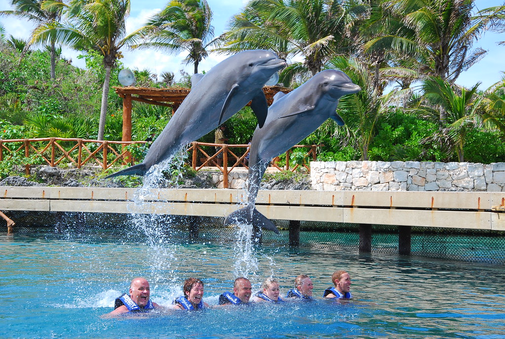 43 Swim with Dolphins at Xcaret paulhmann Flickr