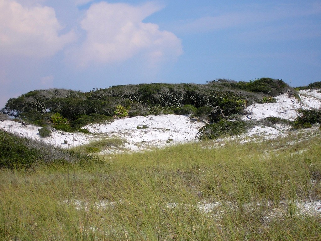 Dune Hammock, Grayton Beach State Park, Florida Panhandle Flickr