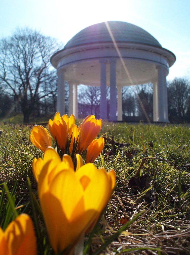 spring Spring has sprung in Clifton Park as flowers begin … Flickr