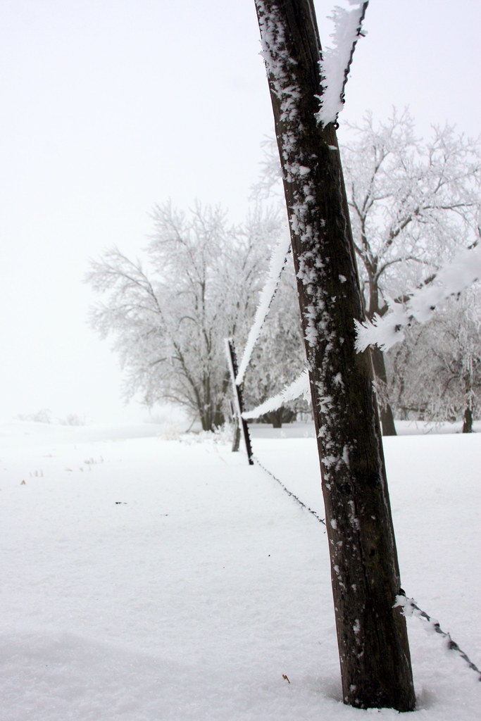 Nebraska January 2010 Winter pics while in Nebraska Flickr