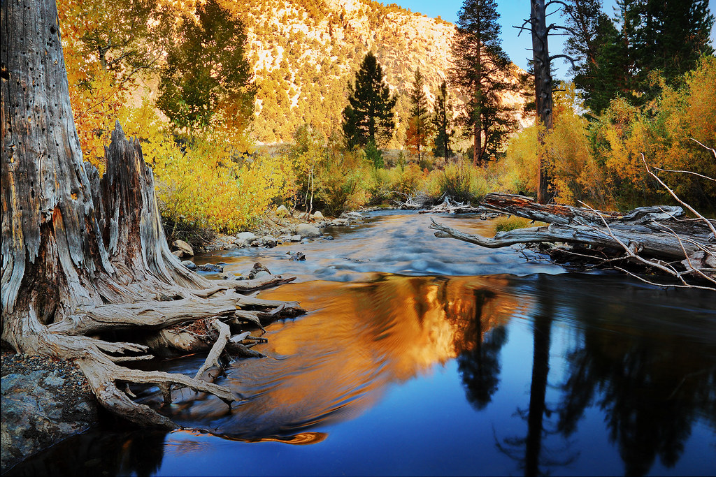 Sierra National Forest, Ca In the shadows Well, what a t… Flickr