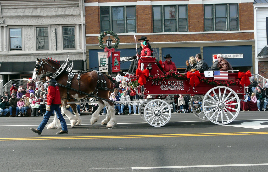 2009 Lebanon, Ohio Carriage Parade FireflyFan Flickr