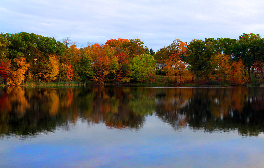 Spec Pond Fall Foliage Wilbraham Ma. The fall colors refle… Flickr