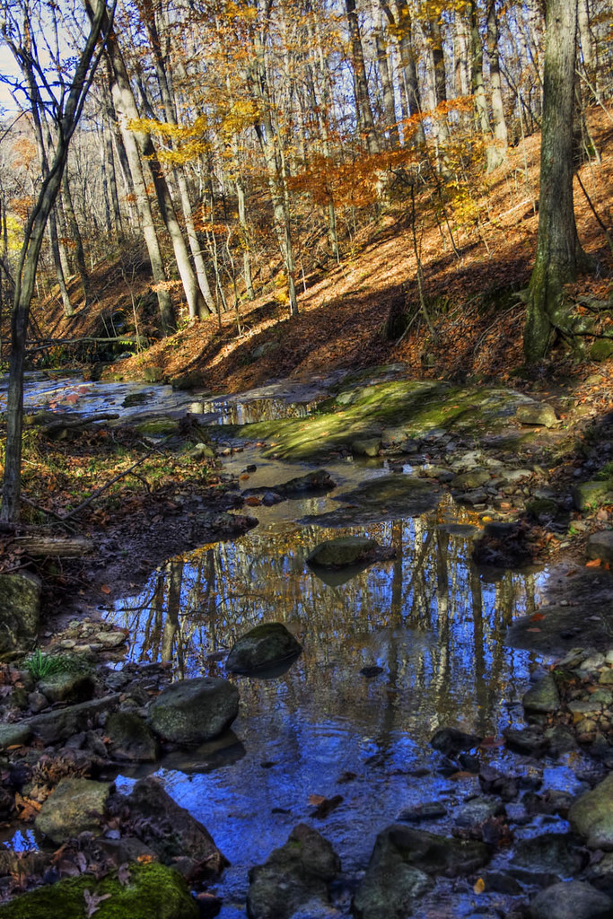 Along a Stream On a trail at Kinkaid Lake in Southern Illi… Larry