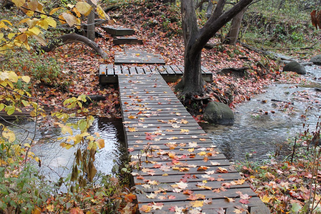 Flickriver Photoset 'Trout Park Elgin Illinois' by JPatR