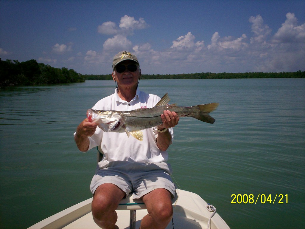 100_0632 RONALD JARRETT Flickr